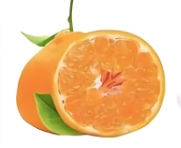 大脚垫